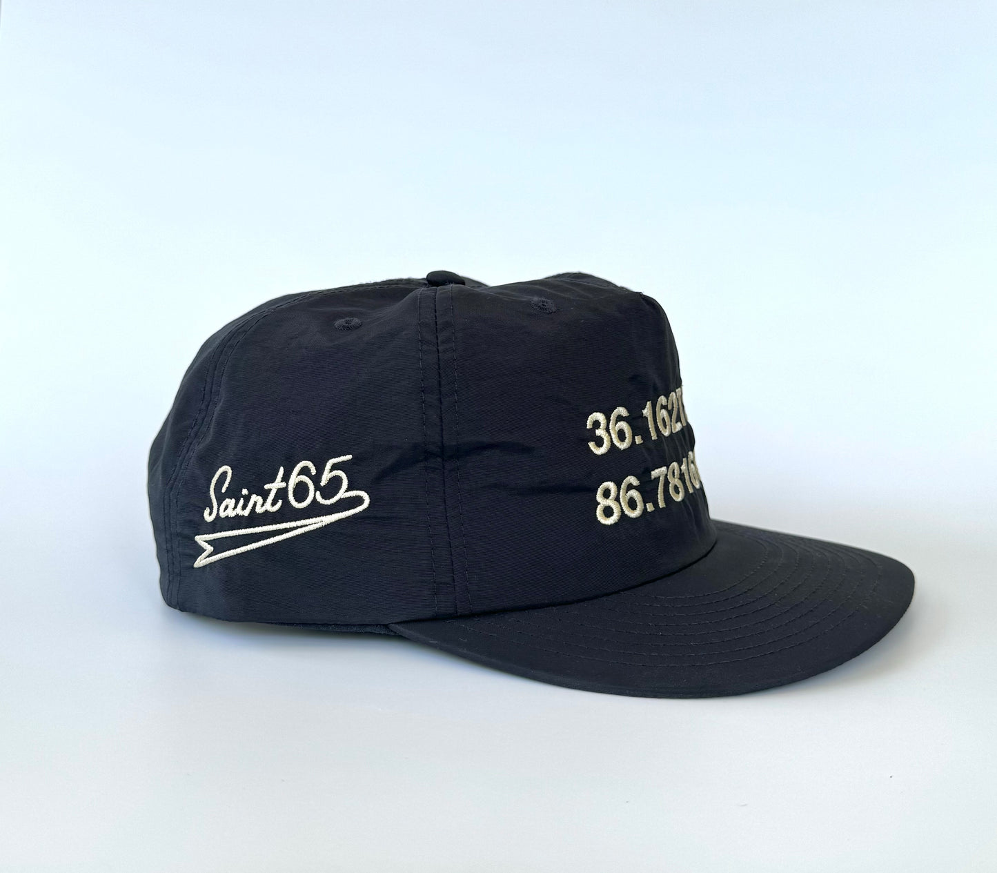 Friends & Family- Nashville Coordinates/Alternate Logo Hat.